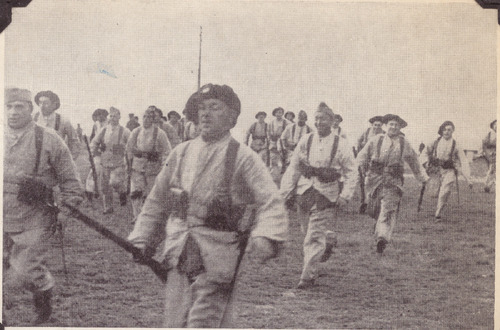 Polscy żołnierze w czasie ćwiczeń we Francji, 1939 - 1940. Kopia cyfrowa pozyskana do IPN ze Stowarzyszenia Weteranów Armii Polskiej w Ameryce