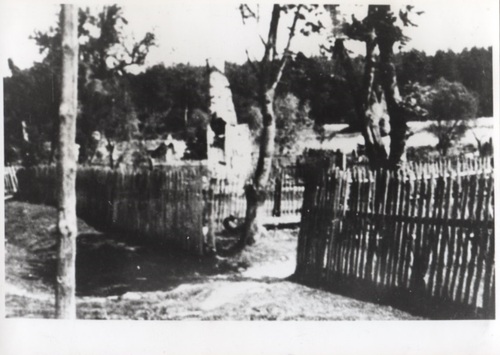 Spalone zabudowania wsi Michniów (fot. z zasobu AIPN)