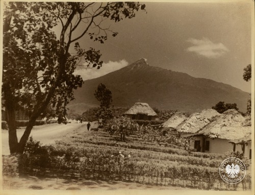 Osiedle polskie w Tengeru w Tanganice (obecnie: Tanzania) na tle góry Meru. Fotografie z lat 1942-1950, pamiątki Marii Łapcik, z d. Wardyńskiej – dar prywatny Andrzeja Babuchowskiego (fot. z zasobu AIPN)
