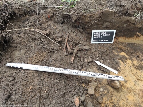 Szczątki ludzie odnalezione w czerwcu 2022 r. (fot. K. Latocha, IPN Łódź)
