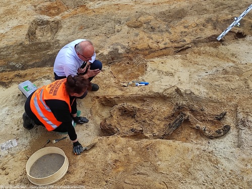 Eksploracja grobu ze szczątkami dwóch osób, wrzesień 2024 r. (fot. K. Latocha, IPN Łódź)