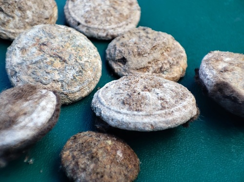 Guziki od wojskowego płaszcza znalezione przy szczątkach we wrześniu 2024 r. (fot. A. Szafrańska, BPO IPN)