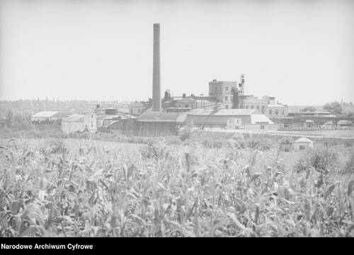Widok na cukrownię w Horodence (fot. NAC)