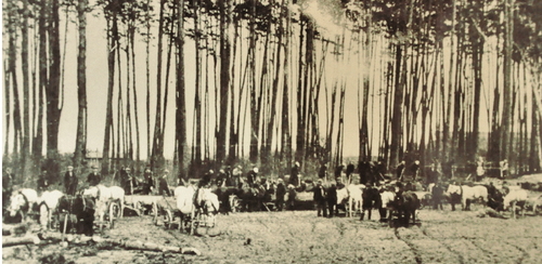 Początki budowy Stalowej Woli (fot. Muzeum Okręgowe w Rzeszowie)