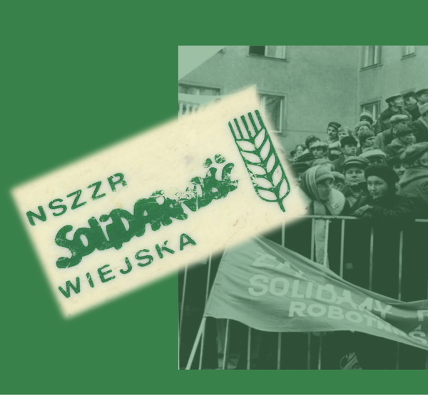 Trudne początki „zielonej Solidarności”. Konflikt pomiędzy trzema niezależnymi organizacjami rolniczymi w latach 1980–1981