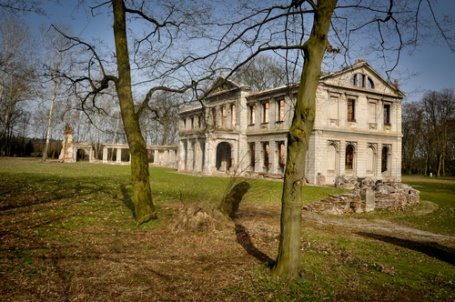 Ruiny pałacu w Nieznanowicach (domena publiczna)