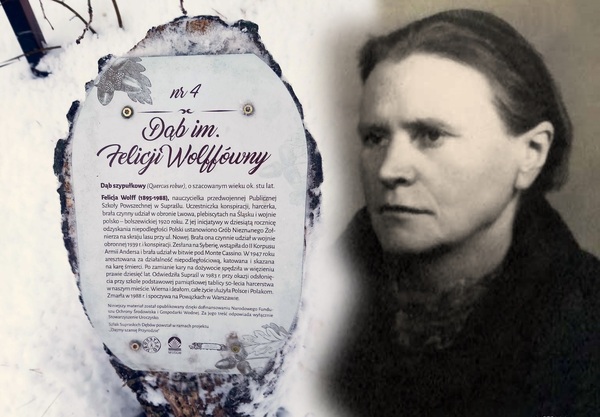 Felicja „Ela” Wolff. Biografia na trzy życiorysy