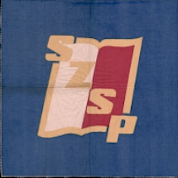 Utworzenie SZSP, czyli co wydarzyło się w 1973 roku?