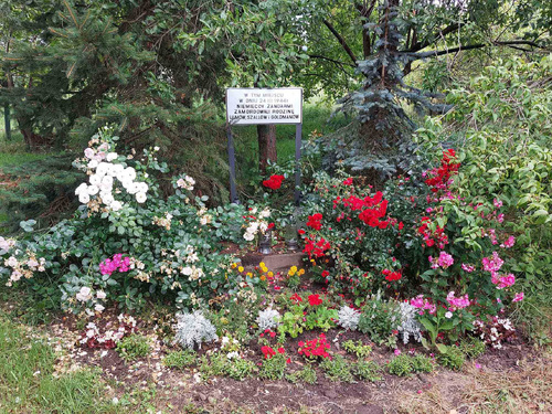 Miejsce, w którym 24 marca 1944 r. niemieccy zbrodniarze zamordowali rodziny Ulmów, Szalów i Goldmanów. Tutaj pierwotnie wszyscy byli pochowani. Obok znajdował się nieistniejący już dom Wiktorii i Józefa. Obecnie miejsce to stanowi część prywatnej posesji. Markowa, 2023 r. (fot. P. Zielony)