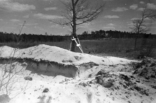Jedna z mogił po ekshumacji. Prawdopodobnie związana z egzekucją z 17 września 1940 r. (fot. z zasobu AIPN)