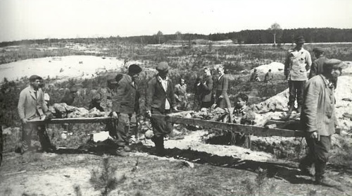 Prace ekshumacyjne w Palmirach. Wydobycie i identyfikacja zwłok (fot. z zasobu AIPN)