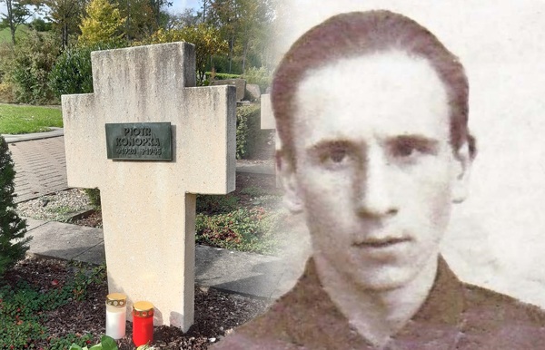 Los wykuty w kamieniołomie