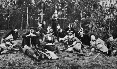 Polska Partia Robotnicza, Gwardia Ludowa-Armia Ludowa na południowej Lubelszczyźnie w okresie okupacji niemieckiej