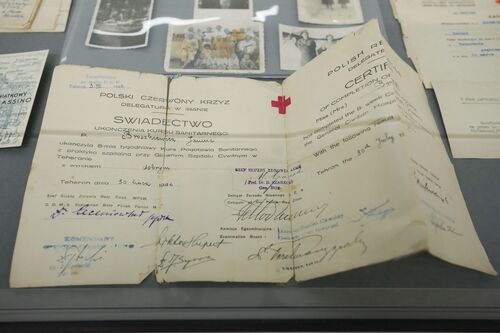 Materiały z archiwum rodziny Krzeczkowskich przekazane do Archiwum IPN (fot. Mikołaj Bujak/IPN)