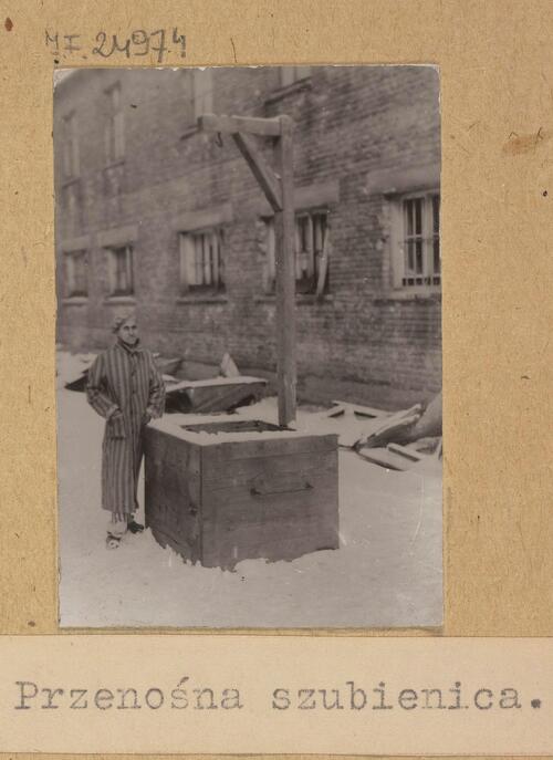 Auschwitz-Birkenau concentration camp. Portable gallows (photo: polona.pl/public domain/National Library)