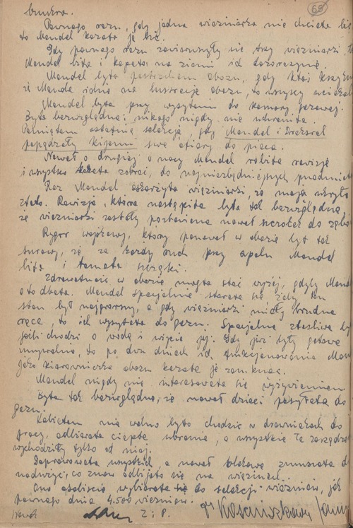 Zeznania złożone przez Janinę Kościuszko – świadka podczas procesu sądowego byłych członków załogi KL Auschwitz-Birkenau – w dniu 19 lutego 1947 r. (z zasobu AIPN)