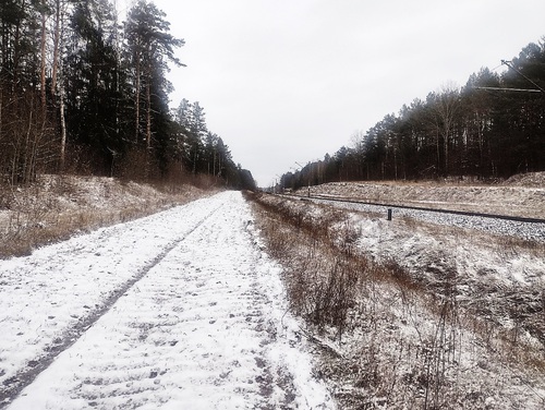 Tory kolejowe koło wsi Polanki (fot. ze zbiorów Autora)