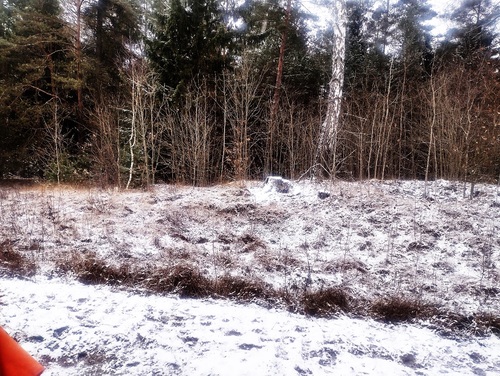 Domniemane miejsce pochówku Halinki i jej matki (fot. ze zbiorów Autora)