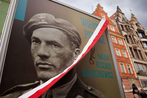 Plansza wystawy pt. „Wierny Polsce. Major Ryszard Małaszkiewicz”, prezentowana z okazji 80. rocznicy Operacji Market Garden – Wrocław, 10 września 2024 r. Fot. Mikołaj Bujak (IPN)