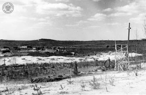 Widok ogólny na teren ekshumacji prowadzonych w 1946 r. (fot. Dąbrowiecki, z zasobu IPN)