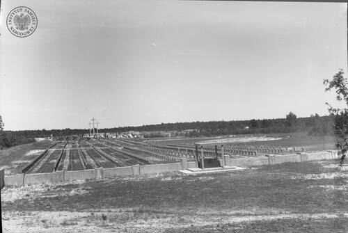 Widok ogólny cmentarza ofiar zamordowanych przez Niemców w Palmirach koło Warszawy (fot. z zasobi AIPN)