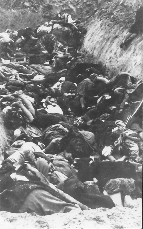 Ofiary niemieckiej zbrodni (fot. z zasobu IPN)