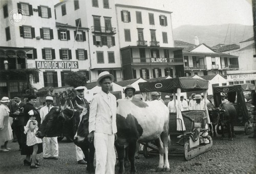 Funchal – stolica Madery. Na pierwszym planie tradycyjne wiklinowe sanie przewożące turystów na szczyt wzgórza Monte – maj 1936 r. (fot. z zasobu IPN)