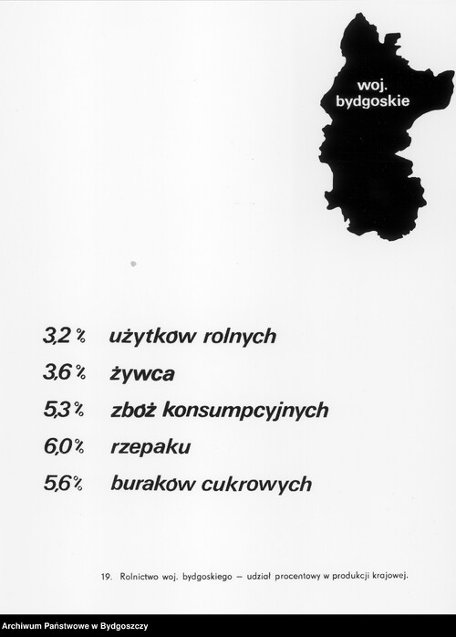 Udział procentowy rolnictwa województwa bydgoskiego w skali kraju. Poglądowa schematyczna mapa województwa bydgoskiego. Panorama Województwa Bydgoskiego. Fot. Z. Krakowiak, E. Pawłowski, W. Wieszok (z zasobu Archiwum Państwowego w Bydgoszczy)