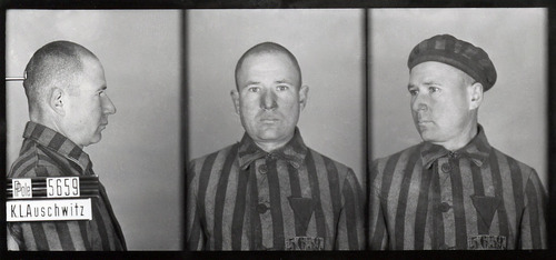 Franciszek Gajowniczek, zdjęcie sygnalityczne. Fot. z zasobu Archiwum Państwowego Muzeum Auschwitz-Birkenau w Oświęcimiu