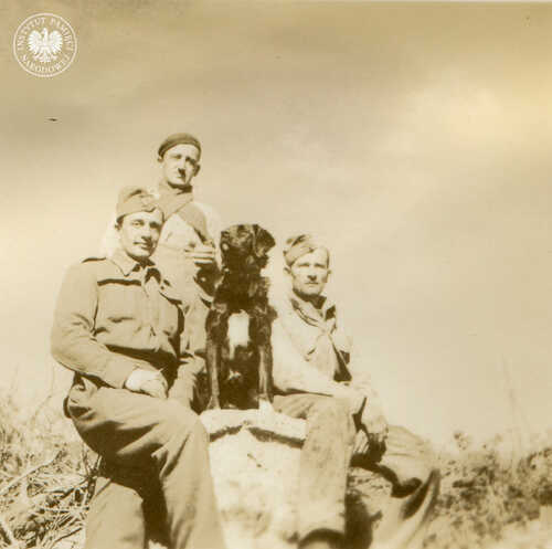 Żołnierze Czołówki Warsztatowo-Naprawczej Samodzielnej Brygady Strzelców Karpackich: plut. Emil Ilicz, plut. Walerian Michalak i kpr. Wacław Dawidziński, z psem Medorem, w obozie w Bir el Tachemet w pobliżu Al-Kubba (Giovanni Berta) w gminie Darna w Libii, styczeń 1942 r. Fot. Karol Angerman (fot. z zasobu AIPN)