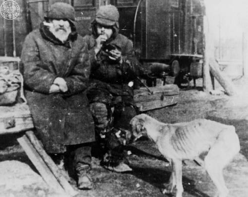 Stanisław Grabski (po lewej), polityk i działacz okresu międzywojennego, zwolniony z sowieckiego obozu, w miejscu formowania się jednostek Armii Polskiej w ZSRS gen. Władysława Andersa. Na pierwszym planie wychudzony pies (fot. z zasobu AIPN)