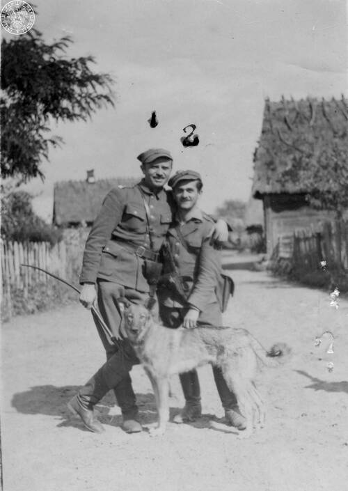 Dowódca 5. Wileńskiej Brygady Armii Krajowej mjr Zygmunt Szendzielarz ps. „Łupaszka” (po lewej) oraz por. Marian Pluciński ps. „Mścisław” - dowódca 4. szwadronu brygady (po prawej), z psem, 1945/1946 (fot. z zasobu AIPN)