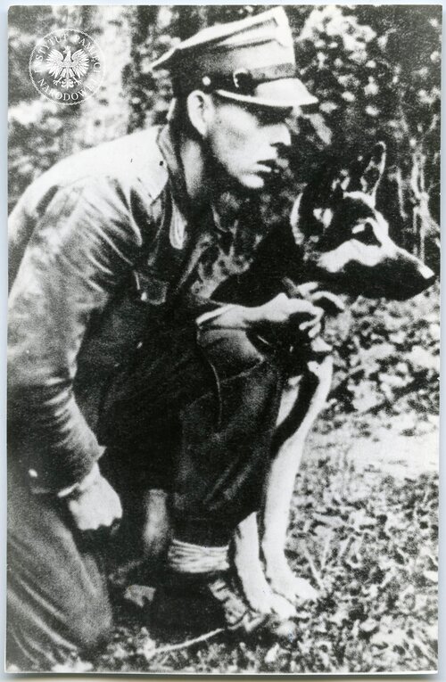 Żołnierz Wojsk Ochrony Pogranicza na patrolu z psem, b.d. (fot. z zasobu AIPN)