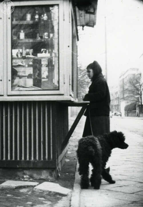 Obserwacja operacyjna osób związanych z działalnością Karola Modzelewskiego, Jacka Kuronia i Adama Michnika. Na zdjęciu Magdalena Czaplicka- Wieczorek (fig. ps. „Róża”), w trakcie spaceru z psem, stoi przy kiosku „Ruchu” na ul. Kaliskiej w Warszawie, 2 kwietnia 1964 r. (fot. z zasobu AIPN)