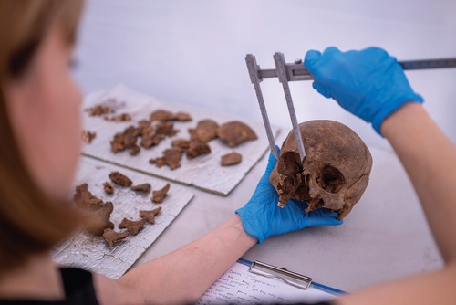 Ekshumacje w Borównie pod Bydgoszczą 2025 r. (fot. D. Frymark, IPN)