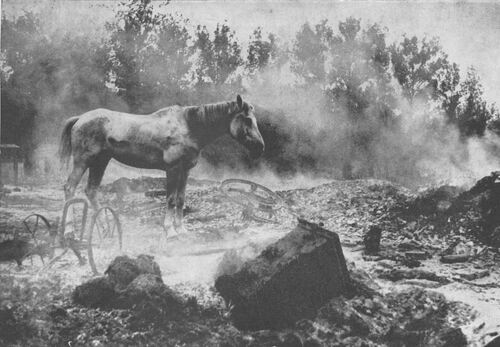 Photo from the album <i>Der grosse Deutsche Feldzug gegen Polen. Eine Chronik des Krieges in Wort und Bild</i>, from the archives of the Institute of National Remembrance