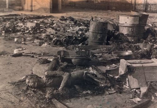 Zwęglone zwłoki więźniów zamordowanych w dniu likwidacji obozu w Żabikowie, 1945 rok