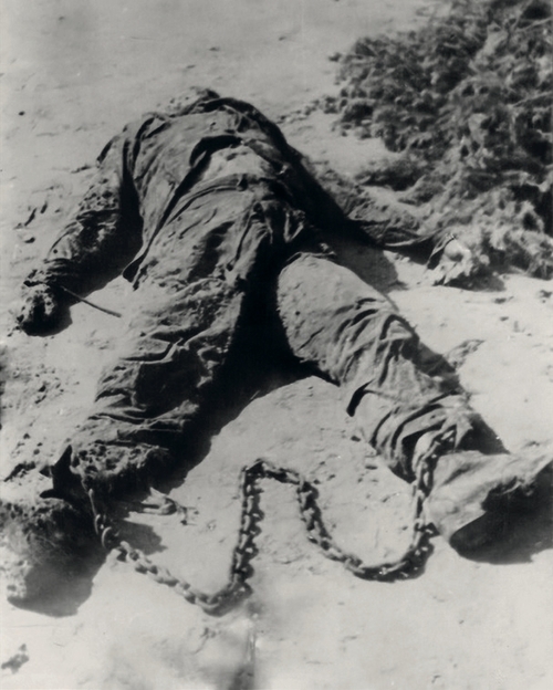 Zdjęcie z ekshumacji dokonanej 28-29 maja 1945 roku na cmentarzu katolickim w Żabikowie (