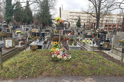 Zbiorowa mogiła uchodźców z Warszawy na cmentarzu Rakowickim - przed remontem, 2024 r. (fot. IPN Kraków)