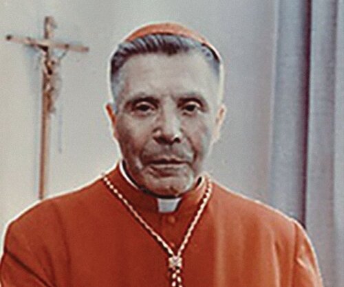 Metropolita kowieński arcybiskup Vincentas kardynał Sladkevičius MIC