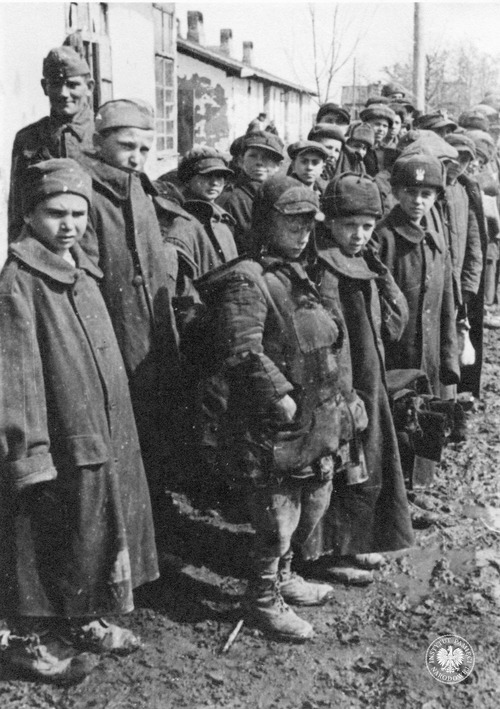 Grupa polskich dzieci deportowanych przez władze sowieckie, przebywających w miejscu formowania jednostek Armii Polskiej w ZSRS gen. Władysława Andersa, 1941-1942 r. Odbitka rozpowszechniana przez komórki propagandy rządu RP i Polskich Sił Zbrojnych w Wielkiej Brytanii (fot. z zasobu AIPN)