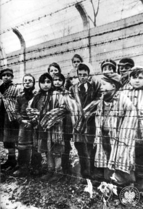 Grupa dzieci żydowskich stojących za ogrodzeniem z drutu kolczastego po wyzwoleniu obozu KL Auschwitz-Birkenau (fot. z zasobu AIPN)