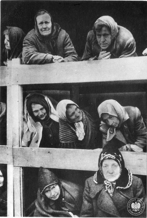 Uwolnione więźniarki obozu KL Auschwitz, leżące na pryczach wewnątrz baraków (fot. z zasobu AIPN)