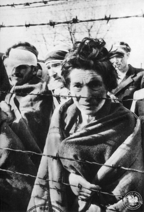 Oswobodzeni więźniowie obozu koncentracyjnego KL Auschwitz za drutami obozu (fot. z zasobu AIPN)