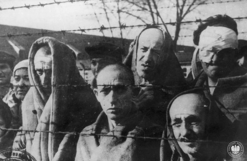 Oswobodzeni więźniowie obozu koncentracyjnego KL Auschwitz za drutami obozu (fot. z zasobu AIPN)