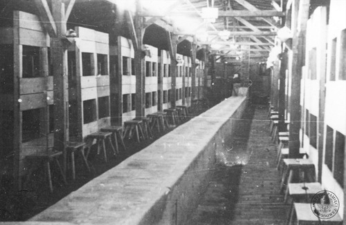 Wnętrza baraków mieszkalnych w obozie zagłady KL Auschwitz-Birkenau w Brzezince po wyzwoleniu (fot. Stanisław Łuczko, z zasobu AIPN)