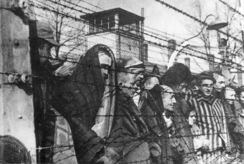 Grupa ocalałych więźniów stojących za drutami kolczastymi obozu koncentracyjnego KL Auschwitz-Birkenau (fot. z zasobu AIPN)