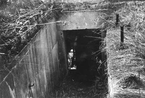 Pozostałości jednego z podobozów KL Auschwitz III (Monowitz) w Gliwicach. Obozy te (Gleiwitz I, II, III i IV), założone w okresie od marca do lipca 1944 r., cieszyły się bardzo złą sławą. Funkcjonowały do stycznia 1945 r. Na zdjęciu wejście do podziemi krematorium przy ul. Kozielskiej. Gliwice, 3 maja 1962 r. (fot. z zasobu IPN)