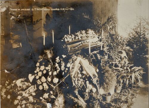 Pogrzeb Teofila Waligórskiego, 1913 rok