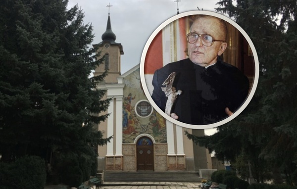 Pasterz niestrudzony. Ks. Władysław Wanags MIC (1931-2001)